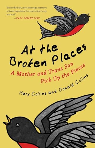 At the broken places : a mother and trans son pick up the pieces