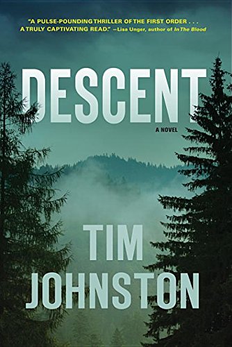 Descent : A novel