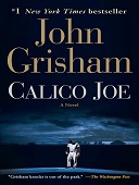 Calico joe : A novel