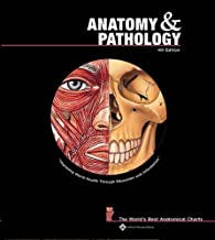 Anatomy & pathology : the world's best anatomical charts