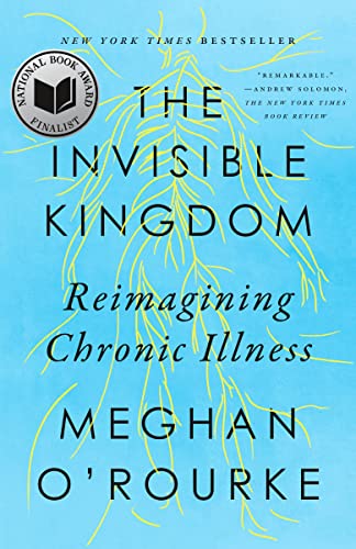The invisible kingdom : reimagining chronic illness
