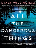 All the dangerous things : A novel