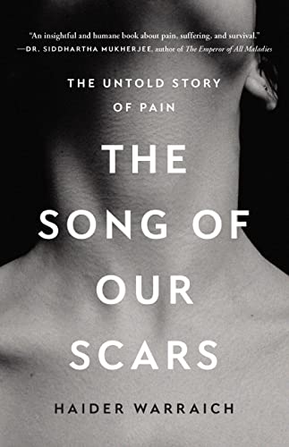 The song of our scars : the untold story of pain