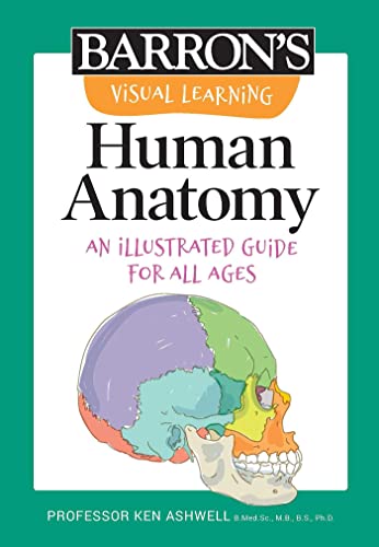 Human anatomy : an illustrated guide for all ages