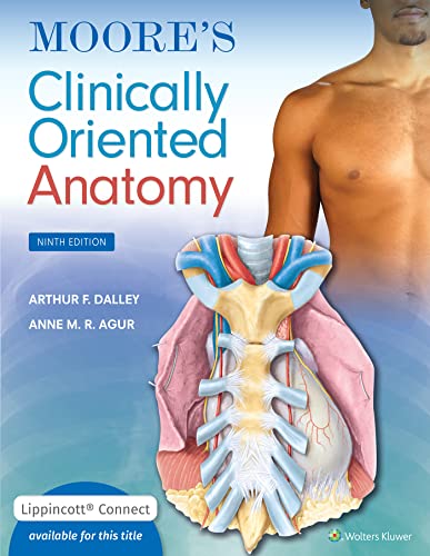 Moore's clinically oriented anatomy