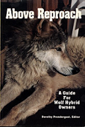 Above reproach : a guide for wolf hybrid owners