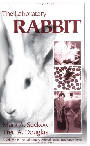 The laboratory rabbit