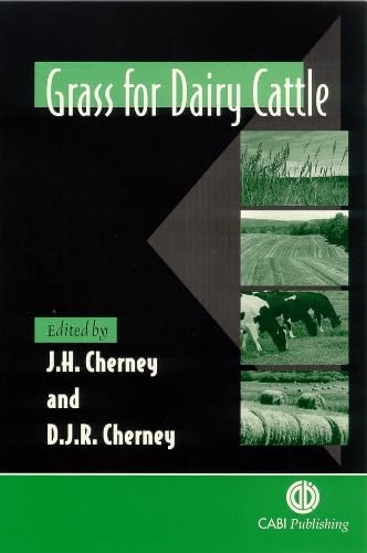 Grass for dairy cattle