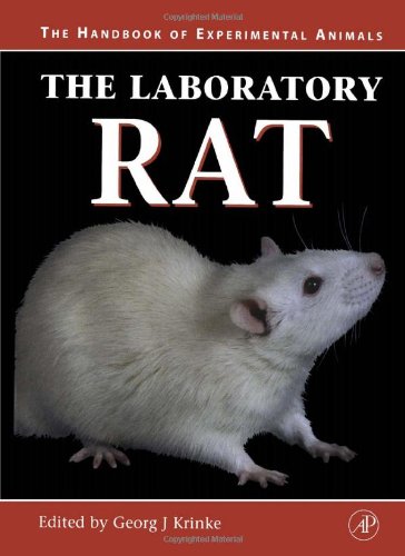 The laboratory rat