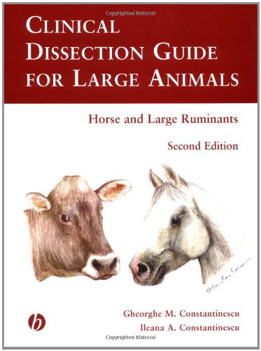 Clinical dissection guide for large animals : horse and large ruminants