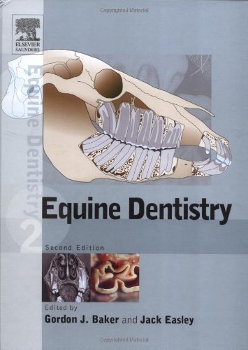 Equine dentistry