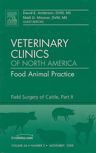 Field surgery of cattle