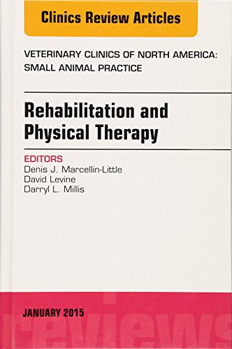 Rehabilitation and physical therapy