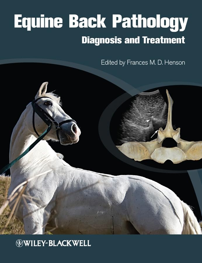 Equine back pathology  : diagnosis and treatment