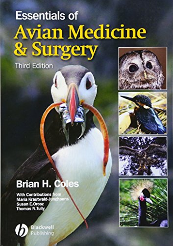 Essentials of avian medicine and surgery