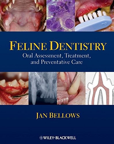 Feline dentistry  : oral assessment, treatment, and preventative care