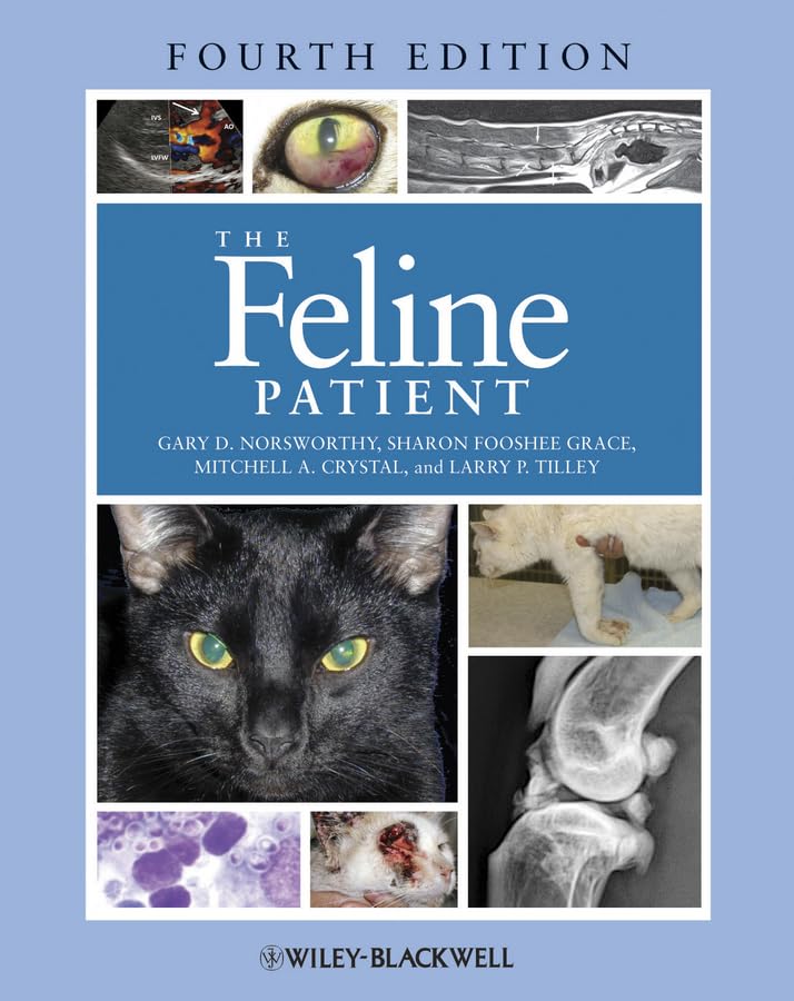 The feline patient