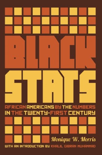 Black stats : African Americans by the numbers in the twenty-first century