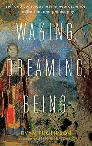 Waking, dreaming, being : self and consciousness in neuroscience, meditation, and philosophy