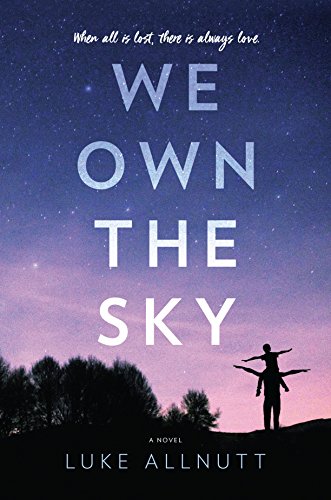 We own the sky : a novel