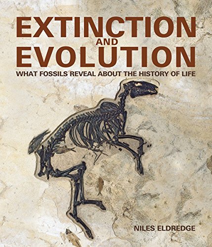 Extinction and Evolution : What Fossils Reveal about the History of Life