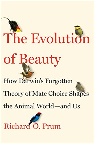 The evolution of beauty : how Darwin's forgotten theory of mate choice shapes the animal world-- and us