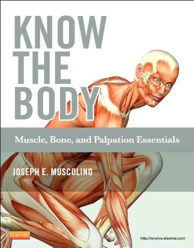 Know the body : muscle, bone, and palpation essentials