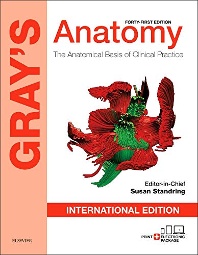 Gray's anatomy : the anatomical basis of clinical practice