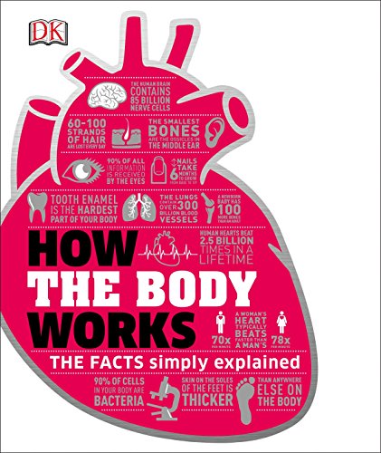 How the body works