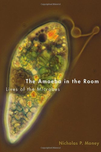 The amoeba in the room : lives of the microbes