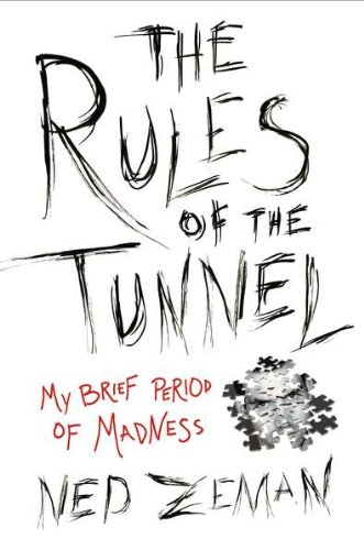 The rules of the tunnel : a brief period of madness