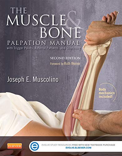 The muscle and bone palpation manual with trigger points, referral patterns, and stretching