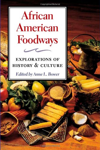 African American foodways : explorations of history and culture